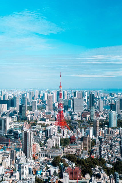 Opportunities and Risks in the Japanese Market: A Japanese Founder Abroad’s Perspective